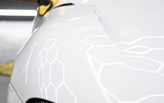 Paint Contamination Evora 2