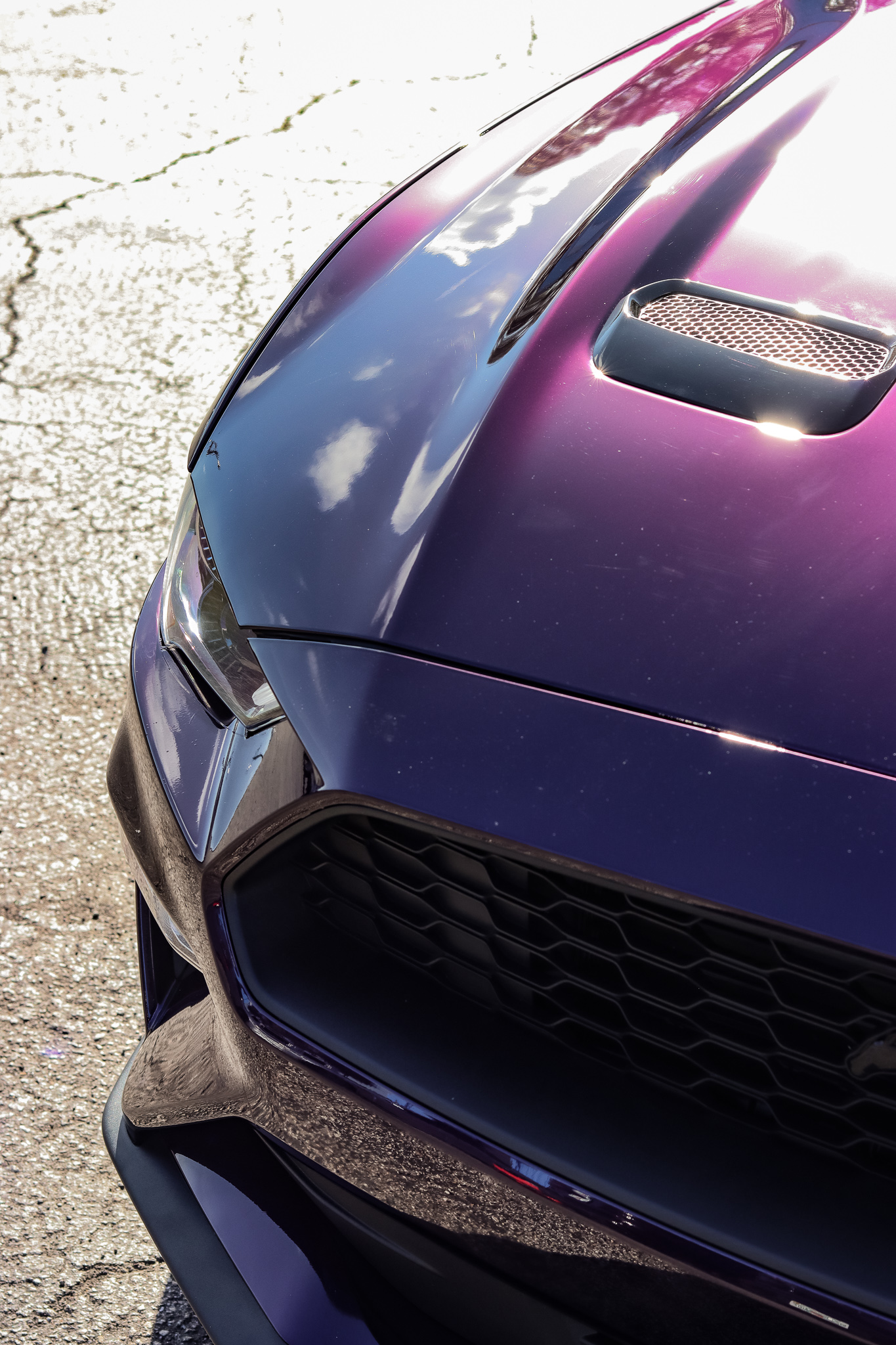 Paint Protection